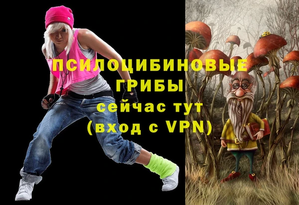 прущие грибы Абаза