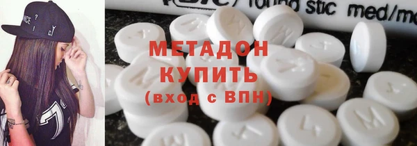 прущие грибы Абаза