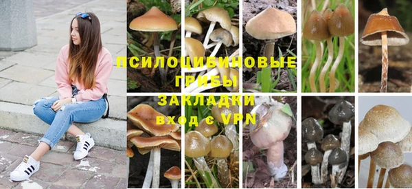 винт Абинск