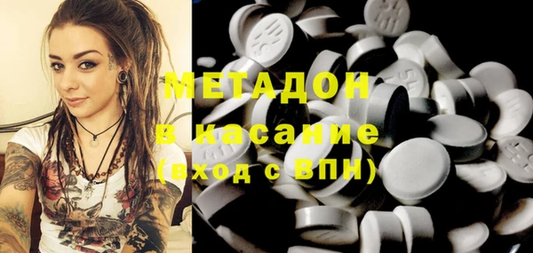 прущие грибы Абаза