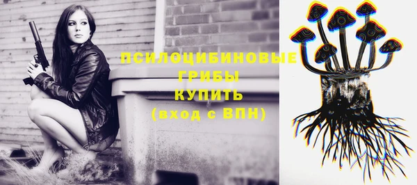 винт Абинск