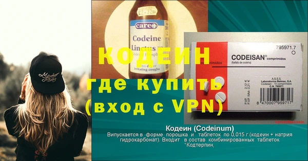 прущие грибы Абаза