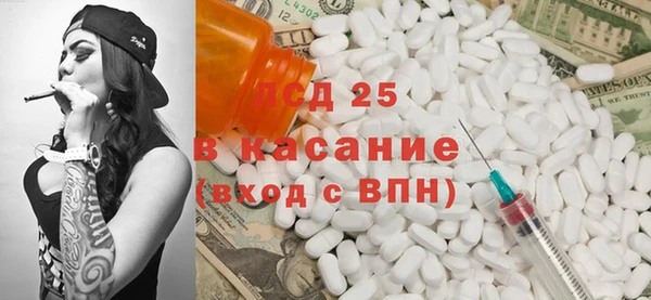 прущие грибы Абаза