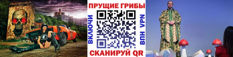 Галлюциногенные грибы Magic Shrooms  Псков 