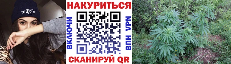 МАРИХУАНА LSD WEED  Псков 